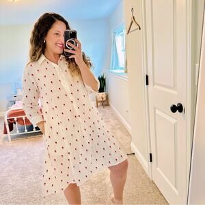 Tuckernuck Delfina White Pink Floral Embroidered Linen Long Sleeve Mini Dress XS